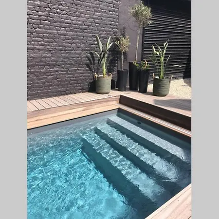 Loft Roubaisien Avec Piscine Interieure Chauffee *